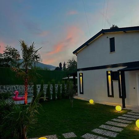 Shino Sapanca'Da Sicak Havuzlu Tatil Keyfi! Villa Exterior foto